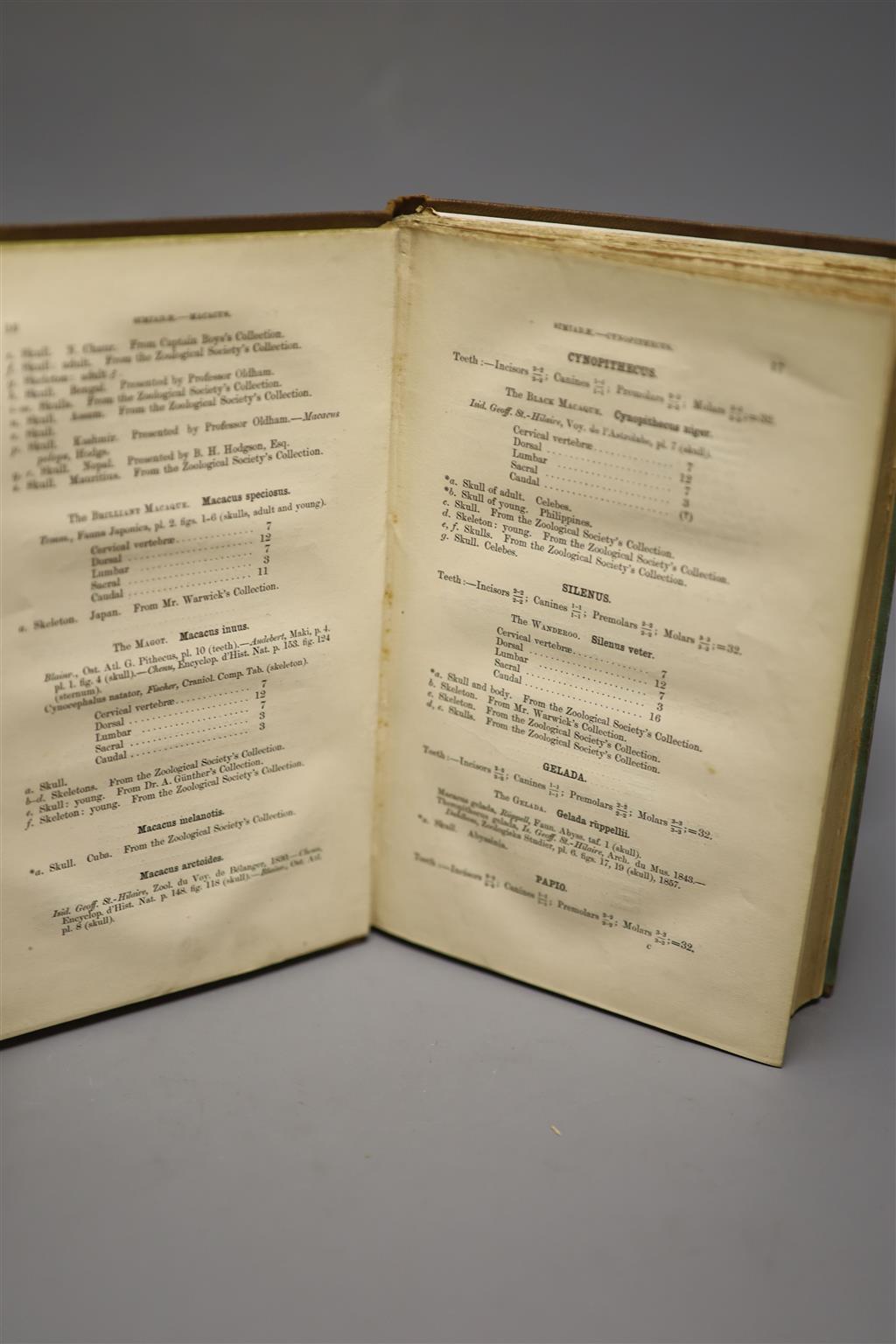 Edward Gerrard; Catalogue of the bones of Mammalia in the collection of the British museum, British Museum (Natural History). Departmen
